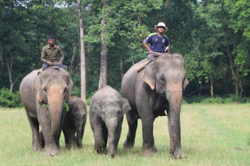 Tres hombres montados en la espalda de tres elefantes en Hotel Town View en Sauraha