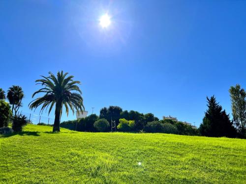 a palm tree in a field with the sun in the sky at Alvor Paradise With Pool by Homing in Alvor