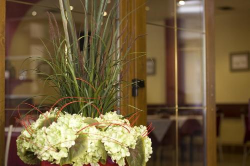 a planter filled with white flowers and a plant at Hotel Zvonimir in Otočac