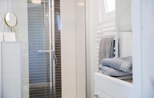 a bathroom with a shower with towels and a mirror at Lovely Home In Breukelen With House Sea View in Breukelen