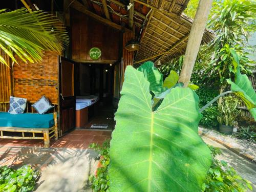 Jardín al aire libre en Under The Coconut Tree Hoi An Homestay