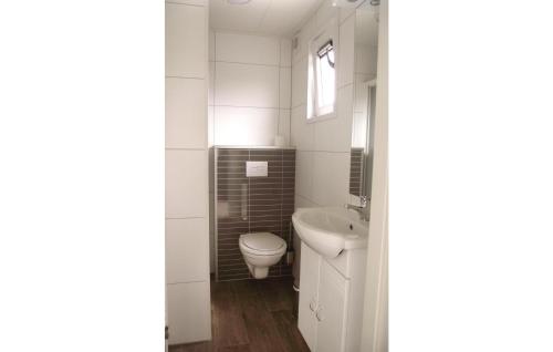 a white bathroom with a toilet and a sink at Pet Friendly Home In Breukelen With Kitchen in Breukelen