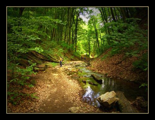Un paisaje natural cerca de la casa de huéspedes