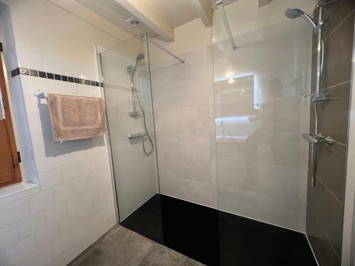 a shower stall with a glass door in a bathroom at Les gîtes du petit mila in Labrit