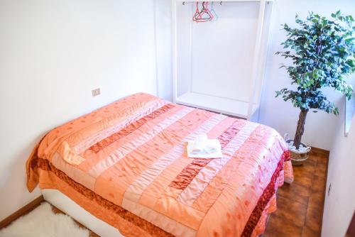 Appartamento a Campo Felice - Treeffe في Collimento: غرفة نوم مع سرير وزرع الفخار