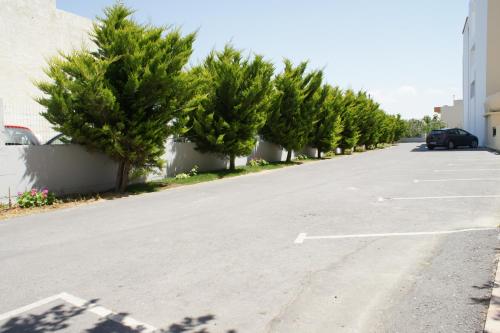 a row of trees lined up in a parking lot at Castro Hotel in Amoudara Herakliou