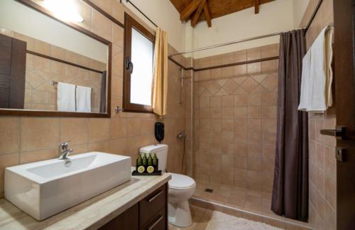 uma casa de banho com um lavatório, um WC e um chuveiro em OREADES-HOMES em Áno Khóra