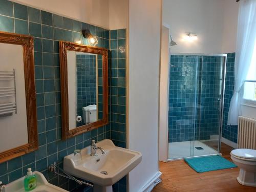 y baño con lavabo, espejo y ducha. en Chateau Maleplane, en Saint-Léonard-de-Noblat