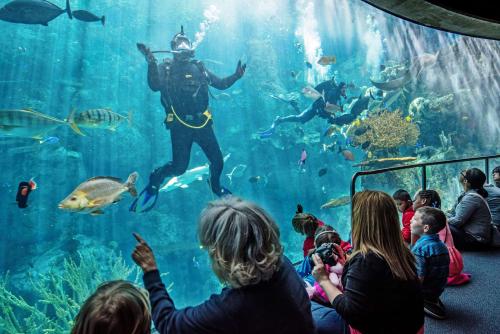 a crowd of people watching a diver in an aquarium at Hyatt Centric the Pike Long Beach in Long Beach