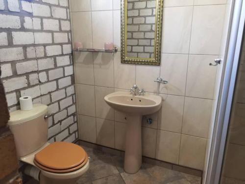 a bathroom with a toilet and a sink at Palmeiras Lodge Oshikango in Oshikango