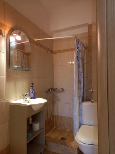 W łazience znajduje się umywalka, toaleta i prysznic. w obiekcie Nikos's apartment w mieście Taxiarchis