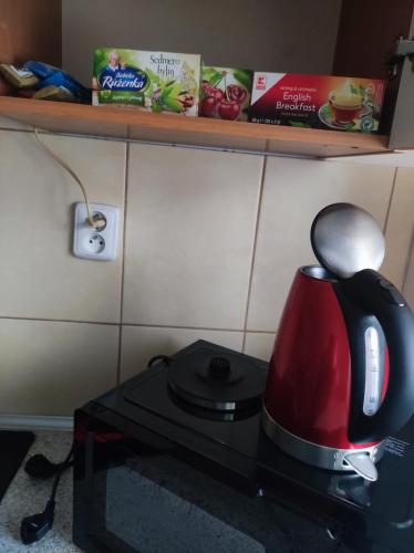 Η κουζίνα ή μικρή κουζίνα στο Apartmány HAVLÍČKOVA 423