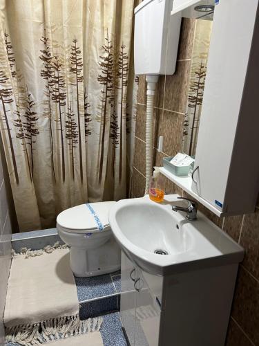 a bathroom with a sink and a toilet and a shower curtain at Apartments Vila Brzi & Beka in Šabac
