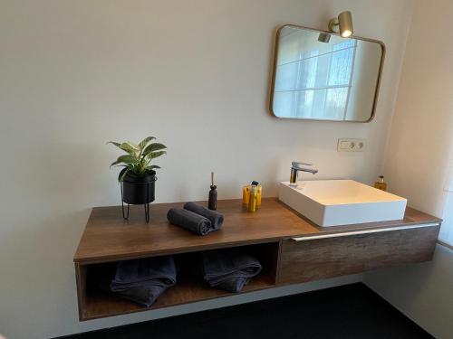 a bathroom with a sink and a mirror at Vakantieappartement Logies Terhagen in Zoutleeuw