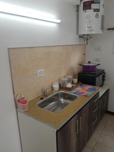 a kitchen counter with a sink and a microwave at Umi del sur in Mar del Plata