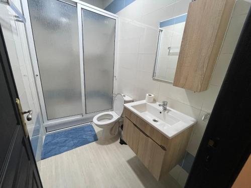 La salle de bains est pourvue d'une douche, de toilettes et d'un lavabo. dans l'établissement STUDIO BORJ RAYHANE, à Tanger