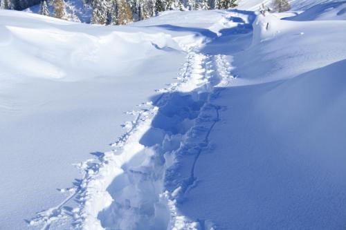 a trail in the snow with footprints in it at Aktiv & Sport Apartments Oberjörg in Rattendorf