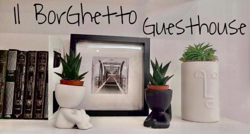 a shelf with two potted plants and a picture and books at Il BorGhetto Guest House in Civitavecchia