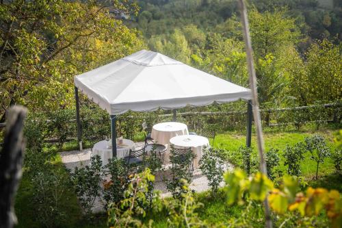 Κήπος έξω από το Agriturismo Rihane