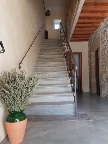 un escalier avec une plante dans un pot dans un bâtiment dans l'établissement Maison de charme avec bassin de nage, à Montmirat