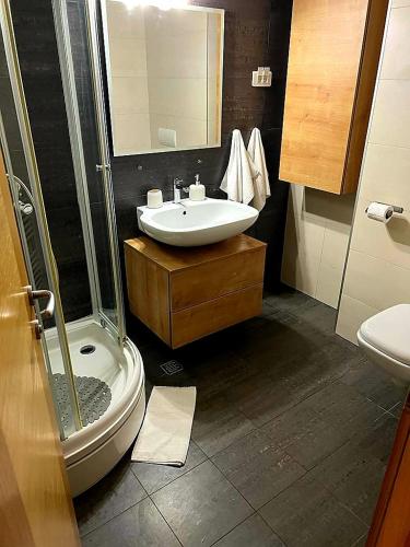 a bathroom with a sink and a shower and a toilet at Apartment U245 in aparthotel Vucko - private host in Jahorina