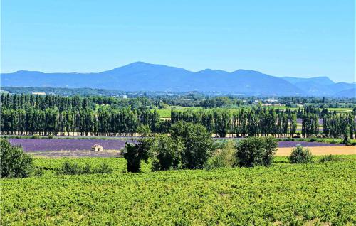 La Comtesse – Photos 2