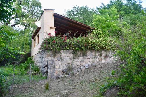 Cabañas Río Molle – Photos 4