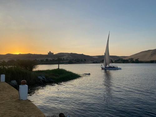 Nile View Guest House في أسوان: قارب شراعي على الماء مع غروب الشمس في الخلفية