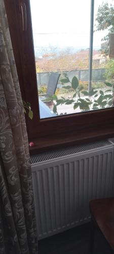 a room with a window with a radiator and a table at Apartment Giorgi in Sighnaghi in Sighnaghi