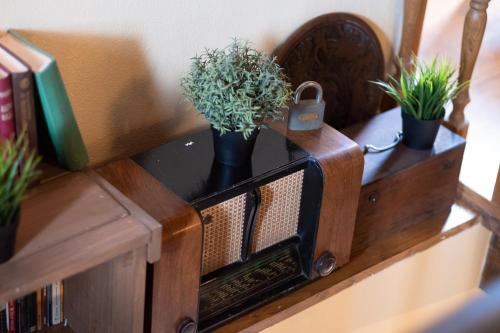 a wooden shelf with a plant in a vase on it at villa Melissa in Kostitsi