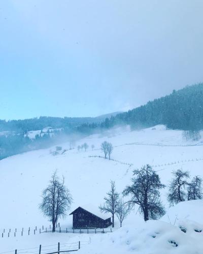a snow covered field with a barn and trees at Bio Schartenhof in Sankt Johann im Pongau