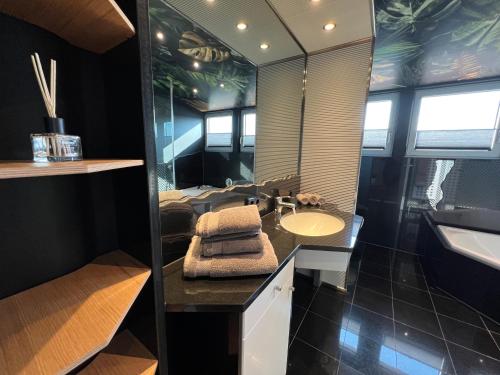 a bathroom with a sink and a mirror at Luxus Loft über den Dächern von Roding in Roding