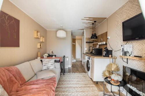 ein Wohnzimmer mit einem Sofa und einer Küche in der Unterkunft Esprit du sud in Agay - Saint Raphael