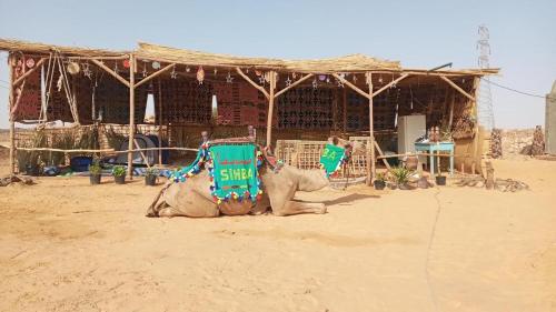 a camel sitting in the sand in front of a building at Wesy Ka Guest House in Aswan