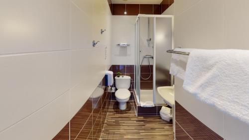y baño pequeño con aseo y ducha. en Hôtel de France Contact-Hôtel, en Évian-les-Bains