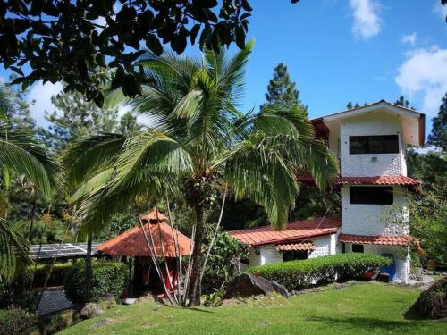 a palm tree in front of a house at Casalta, Hermosa casa de arquitectura Rústica in Sorá