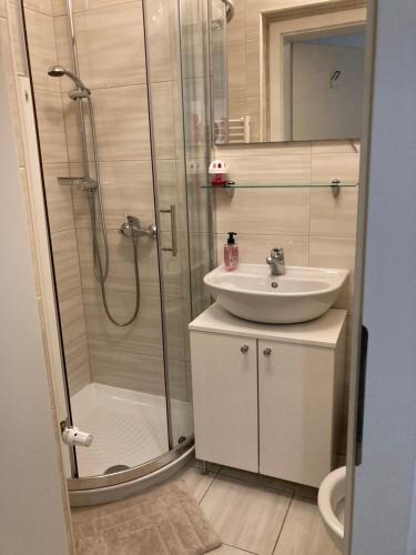 bagno con doccia e lavandino di Boutique Apartments a Lubiana