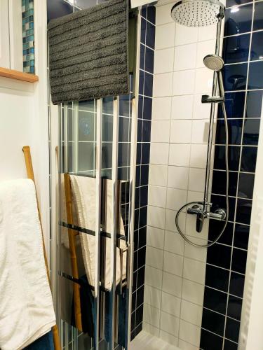 La salle de bains est pourvue d'une douche avec du carrelage noir et blanc. dans l'établissement Appartement T1bis tout confort, à Luchon
