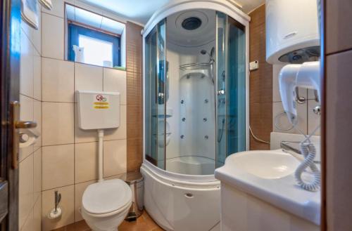a bathroom with a shower and a toilet and a sink at Zlatibor Brvnare Zakos in Zlatibor