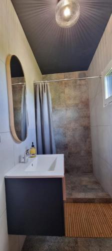 a bathroom with a sink and a shower at Domki La Bella 3 in Aleksandria