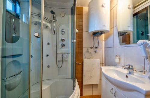 a bathroom with a shower and a sink at Zlatibor Brvnare Zakos in Zlatibor