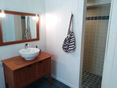 a bathroom with a sink and a shower at Les Hôtes du Paradis in Forges