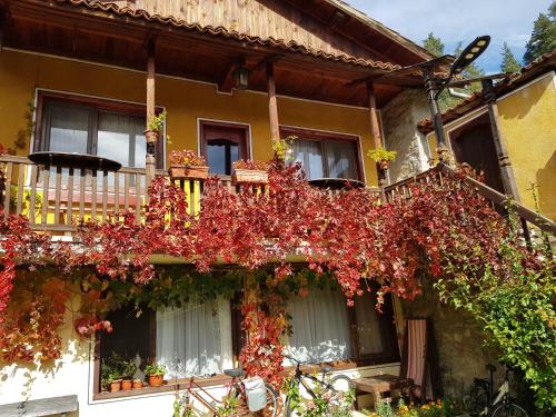 a building with red plants on the side of it at Dona Guest House - Horse Riding in Koprivshtitsa