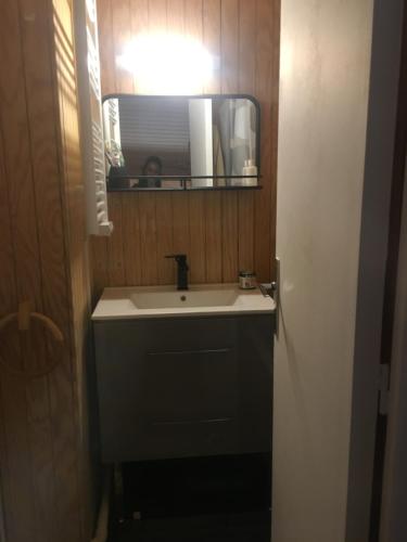 La salle de bains est pourvue d'un lavabo et d'un miroir. dans l'établissement La Foux D’Allos - Studio cosy - pied des pistes, à Allos