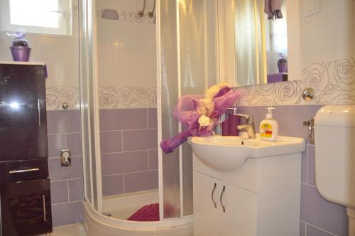 ein Bad mit einem Waschbecken und einer Dusche in der Unterkunft Apartment Vesna in Ravni
