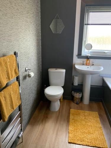 a bathroom with a toilet and a sink at Home from home, 3 bedroom house in Hawick in Hawick