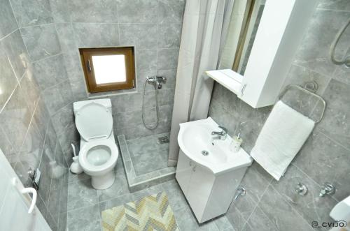 a bathroom with a toilet and a sink at Apartman Sofija in Kaludjerske Bare