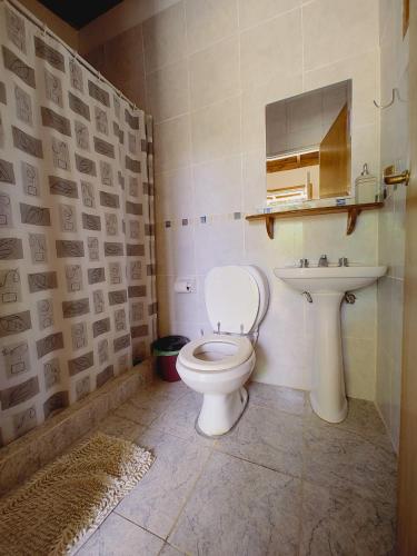 a bathroom with a toilet and a sink at Posada Don Salvador in San Antonio de Areco