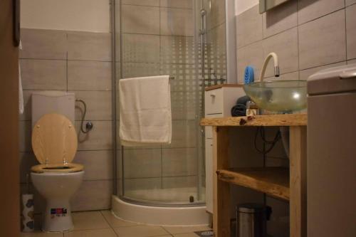 La salle de bains est pourvue de toilettes, d'un lavabo et d'une douche. dans l'établissement Wooden house with a waterfall "Stipanov mlin", aux lacs de Plitvice