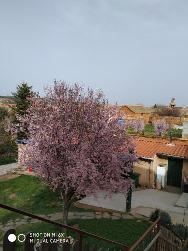 a tree with purple flowers on it in a yard at ALBERGUE peregrinos CASAFLOR in Murias de Rechivaldo
